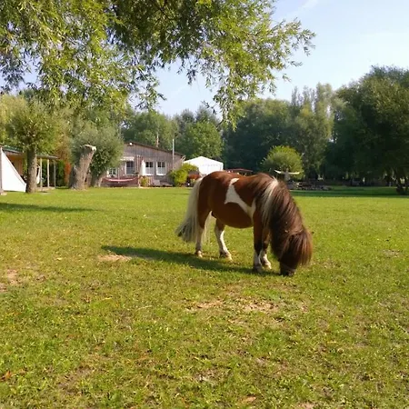 Ferienwohnung 2 Mowenort * Lutow
