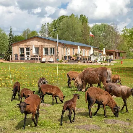 Ferienwohnung 2 Mowenort * Lutow